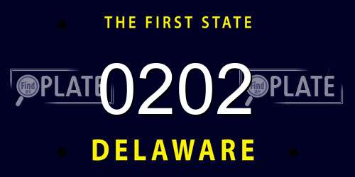 0202 Delaware License Plate