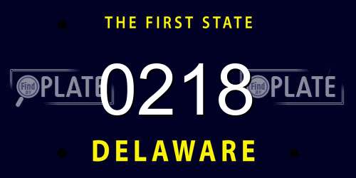 0218 Delaware License Plate
