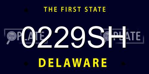 0229SH Delaware License Plate