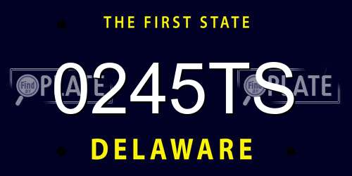 0245TS Delaware License Plate