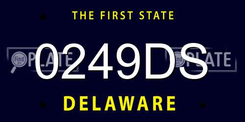 0249DS Delaware License Plate
