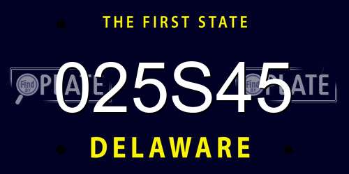 025S45 Delaware License Plate