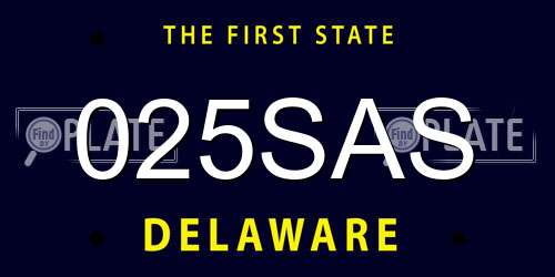 025SAS Delaware License Plate