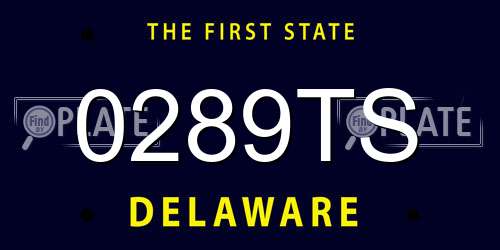 0289TS Delaware License Plate