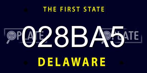 028BA5 Delaware License Plate