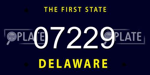 07229 Delaware License Plate