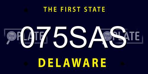 075SAS Delaware License Plate