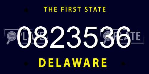 0823536 Delaware License Plate