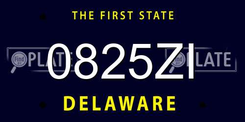 0825ZI Delaware License Plate