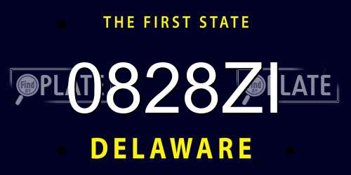 0828ZI Delaware License Plate
