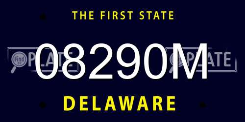 08290M Delaware License Plate