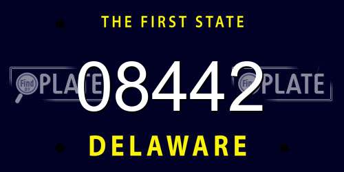 08442 Delaware License Plate