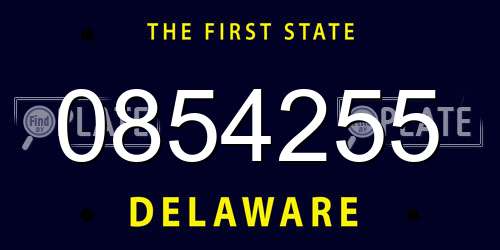 0854255 Delaware License Plate