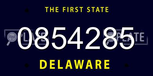 0854285 Delaware License Plate