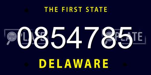 0854785 Delaware License Plate