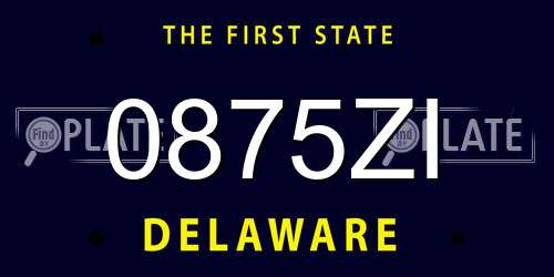 0875ZI Delaware License Plate