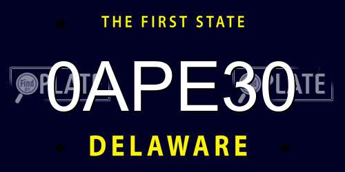 0APE30 Delaware License Plate