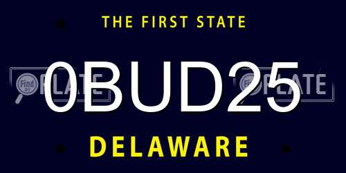 0BUD25 Delaware License Plate