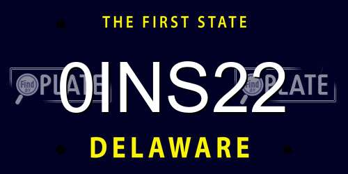 0INS22 Delaware License Plate