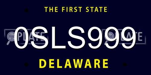 0SLS999 Delaware License Plate