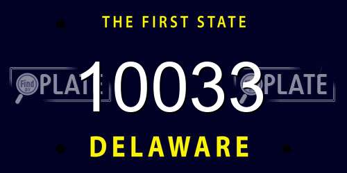 10033 Delaware License Plate
