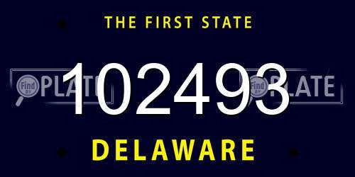 102493 Delaware License Plate