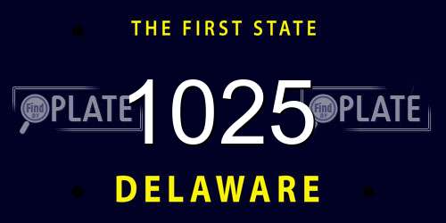 1025 Delaware License Plate