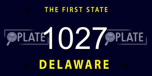1027 Delaware License Plate