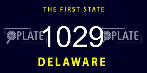 1029 Delaware License Plate