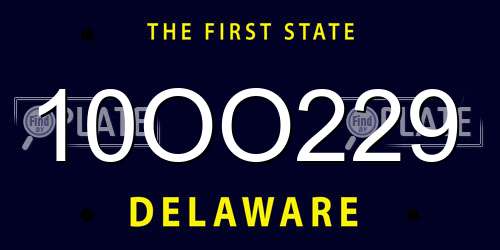 10OO229 Delaware License Plate