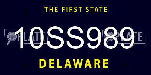 10SS989 Delaware License Plate
