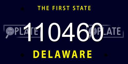 110460 Delaware License Plate