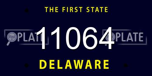 11064 Delaware License Plate