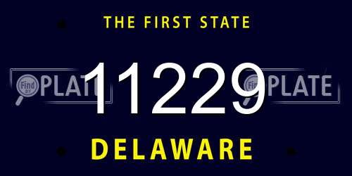 11229 Delaware License Plate