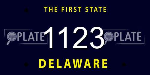 1123 Delaware License Plate
