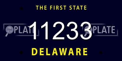 11233 Delaware License Plate