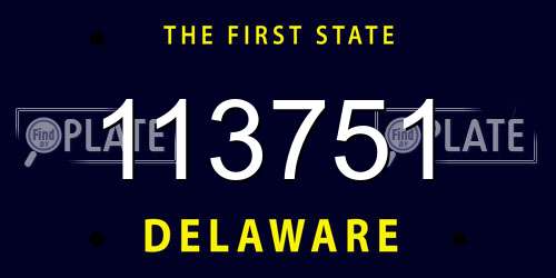 113751 Delaware License Plate