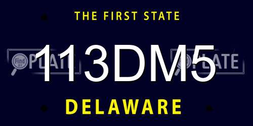 113DM5 Delaware License Plate