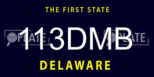 113DMB Delaware License Plate