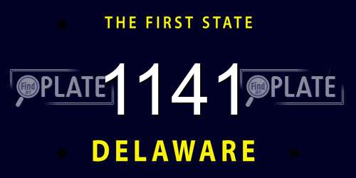 1141 Delaware License Plate