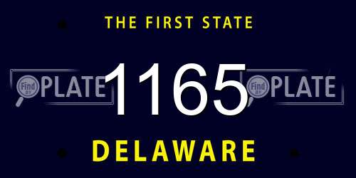 1165 Delaware License Plate