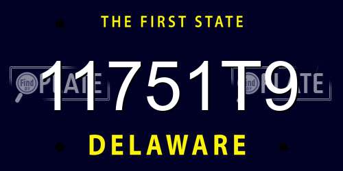 11751T9 Delaware License Plate