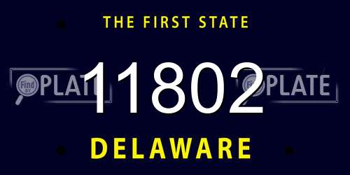 11802 Delaware License Plate
