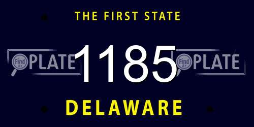 1185 Delaware License Plate