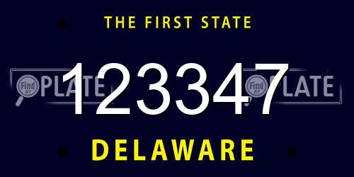123347 Delaware License Plate