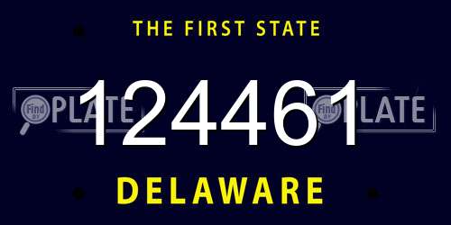124461 Delaware License Plate