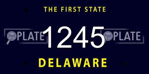 1245 Delaware License Plate