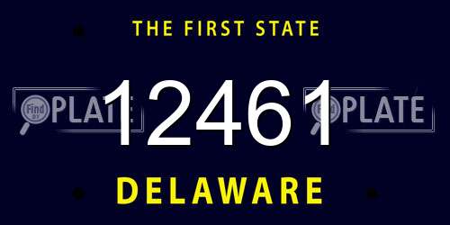 12461 Delaware License Plate