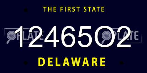 12465O2 Delaware License Plate