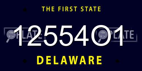 12554O1 Delaware License Plate